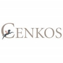 Cenkos Securities at Stockomendation